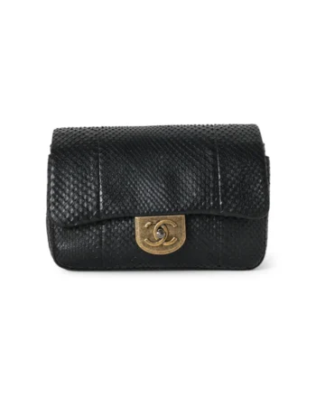 High-quality product photo of a Chanel 22 Timeless Double Chain Black Python in Black