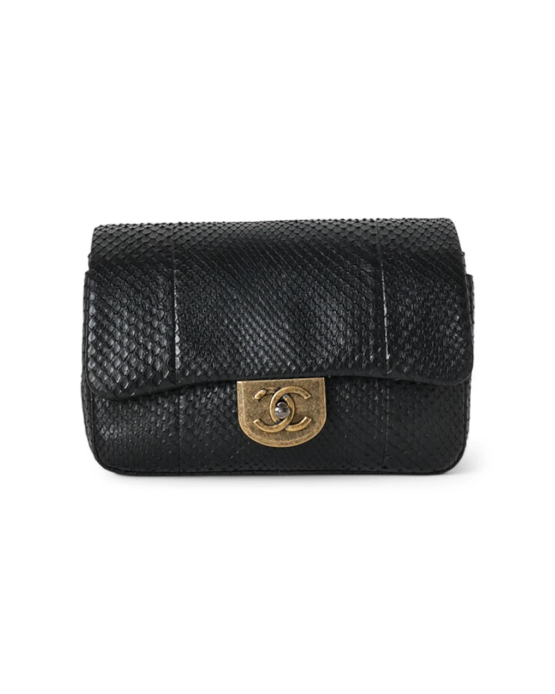 Chanel 22 Timeless Double Chain Black Python – Excellent Collectors Edition