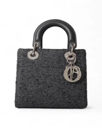 High-quality product photo of a Dior Lady Small Canvas Metel Grey in Gray