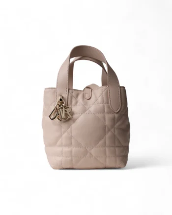 High-quality product photo of a Dior Toujours Nano Vertical Macrocanna Pink in Rose