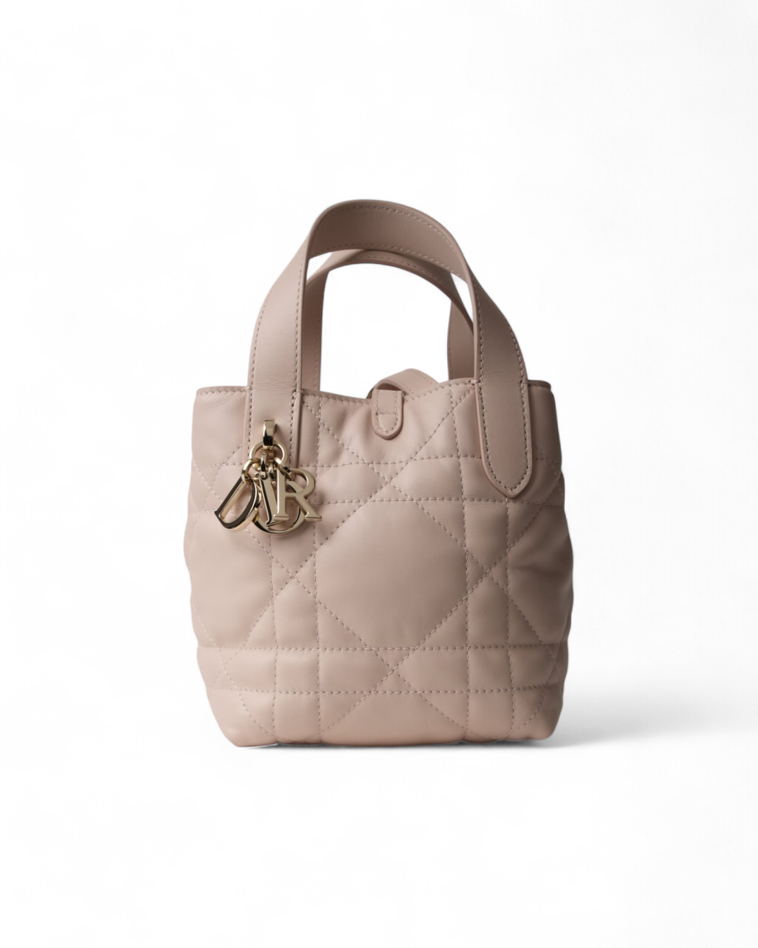 Dior Toujours Nano Vertical Macrocanna Pink – Like New Collectors Edition