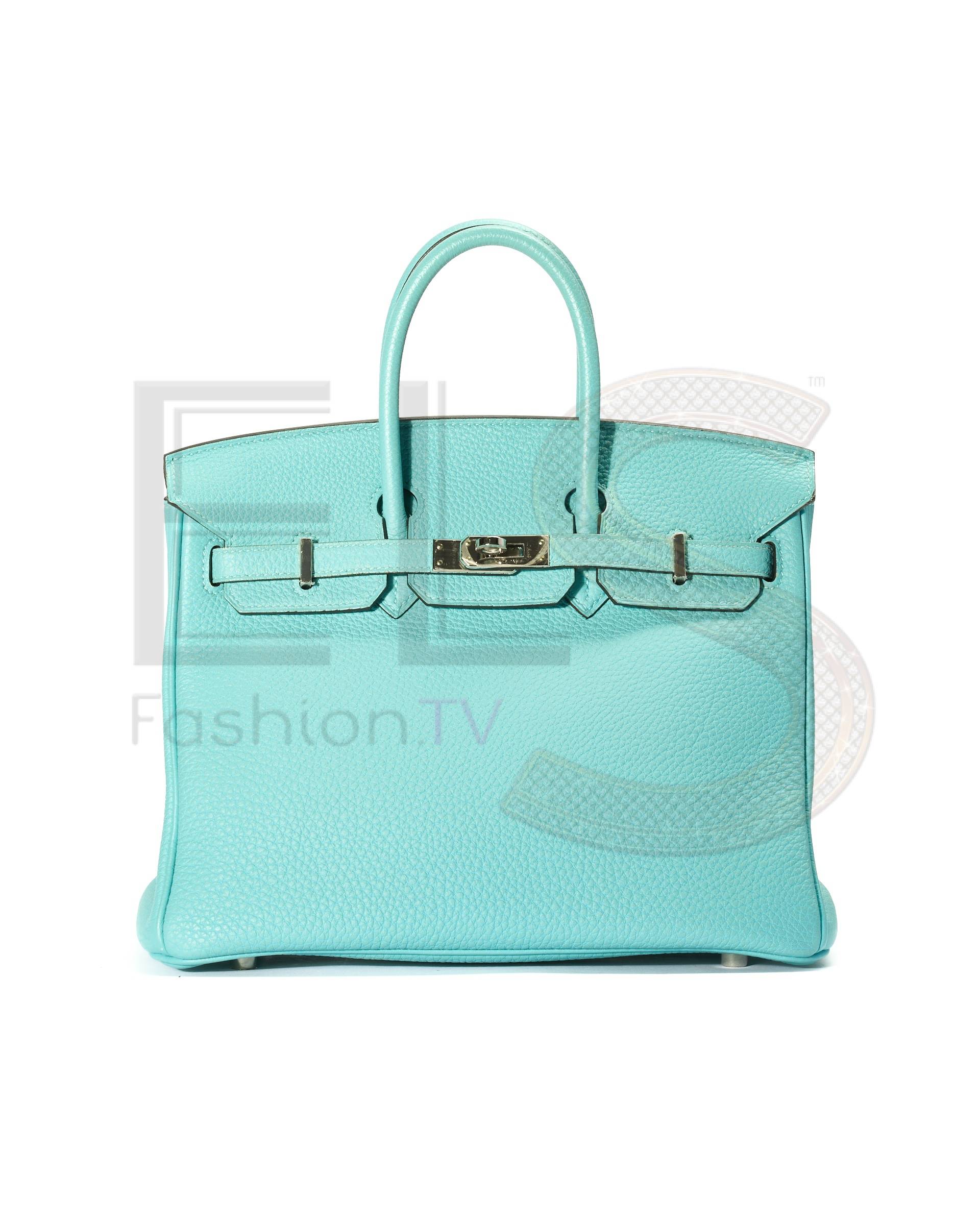 Hermès Sac Birkin 25 Togo Blue Atoll – Excellent Collectors Edition