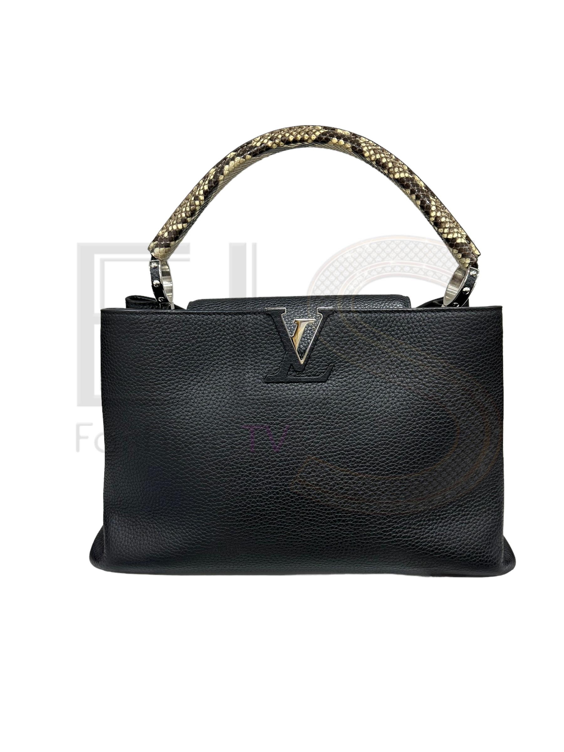 Louis Vuitton Capucines GM – Excellent Collectors Edition